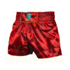 MMA Fight Shorts