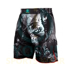 MMA Fight Shorts