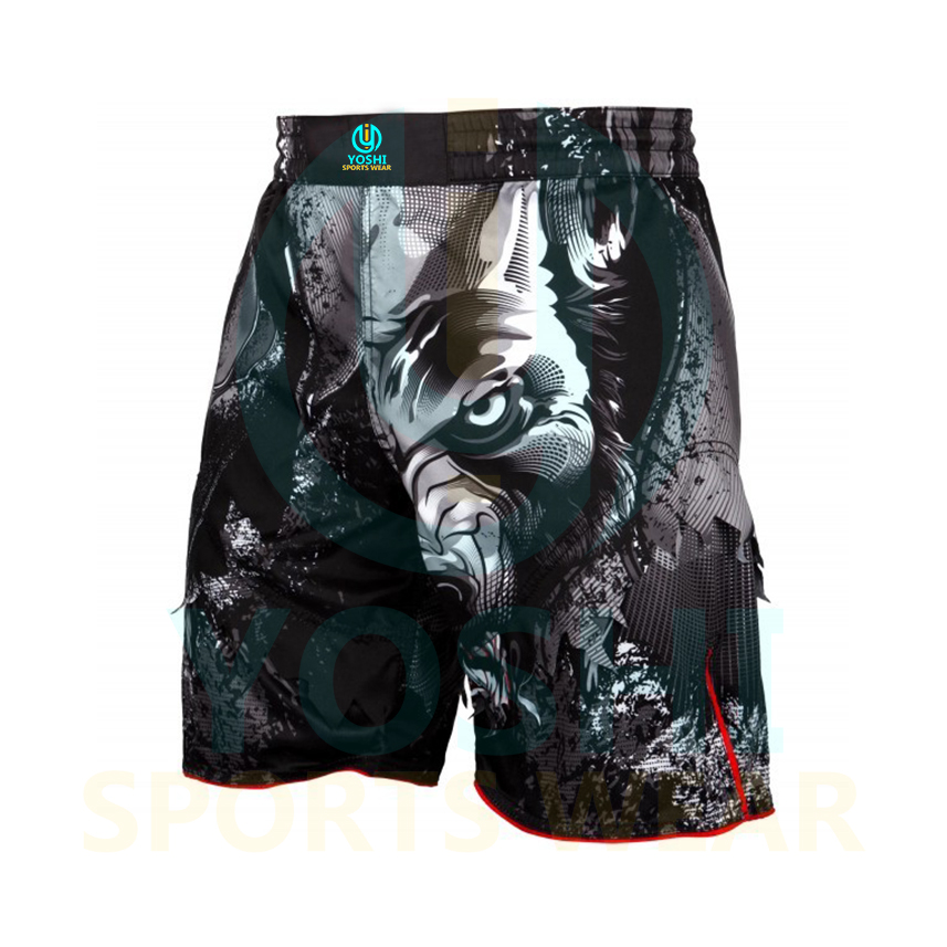 MMA Fight Shorts